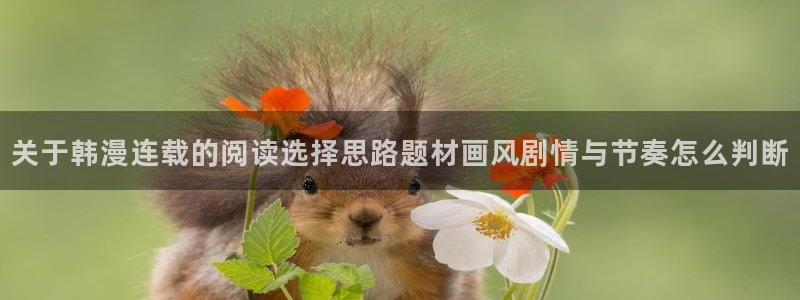 漫画岛最新资讯:关于韩漫连载的阅读选择思路题材画风剧情与节奏怎么判断