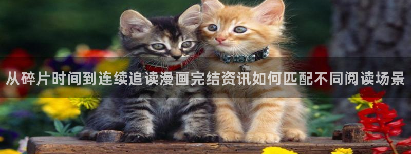 漫画岛人气漫画大全:从碎片时间到连续追读漫画完结资讯如何匹配不同阅读场景