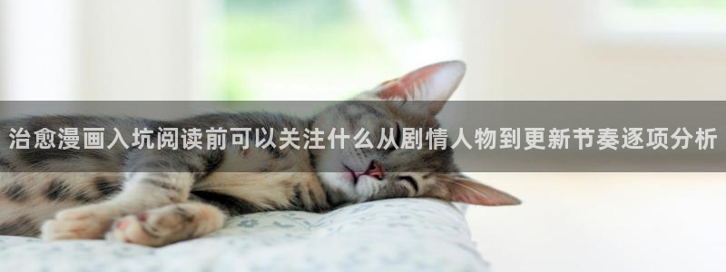 漫画岛作品列表：治愈漫画入坑阅读前可以关注什么从剧情人物到更新节奏逐项分析