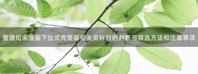 漫画岛漫画更新资讯：整理绍宋漫画下拉式完整版相关资料时的判断与筛选方法和注意事项