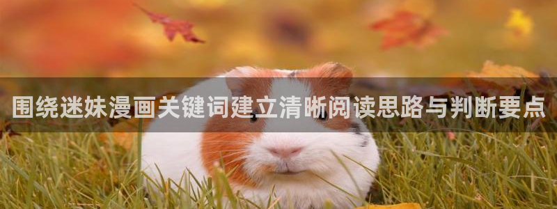 漫画岛热门漫画排行:围绕迷妹漫画关键词建立清晰阅读思路与判断要点
